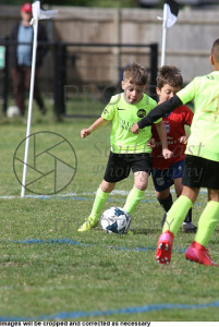 Abbey Rangers 2025